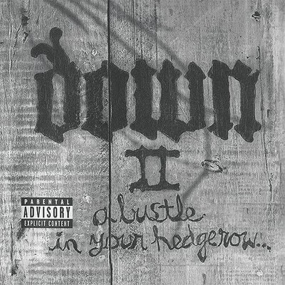 Down II - A Bustle In Your Hedgerow - Down CD Z4LN The Cheap Fast Free Post