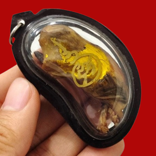 Magische Katze Plazenta Kraft Reichtum Geld Glück Glück Talismane Thai Amulett selten - Bild 4 von 7