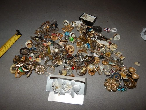 Vintage? Costume Jewelry Lot Estate Find