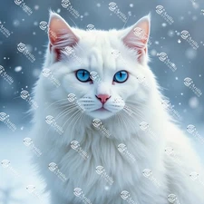 Digital Image Picture Photo Pic Wallpaper Background Majestic Cat Snow _63