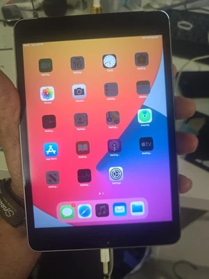 Apple iPad mini (4th generation) · 128GB · Cellular