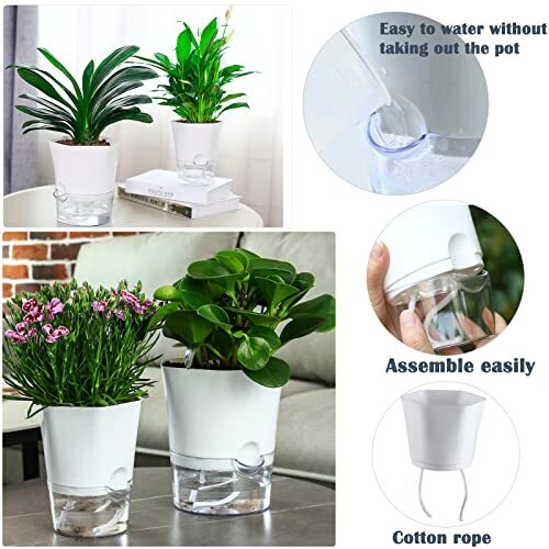 6 Pack Clear Plastic Self Watering African Violets Pots Flower Pot Planter