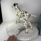 Foto 3 di 15