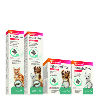 Beapar Intesto Pro | Präbiotika MOS & FOS | Unterstützung der Darmfunktion Hunde