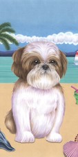Shih Tzu Brown  White Summer Fun Beach Towel