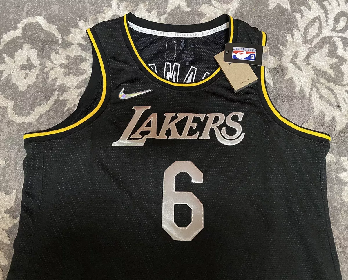 Nike Lebron James select series jersey sticker. Size Small. Los Angeles Lakers - Jerseys