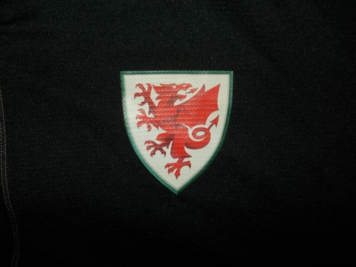 Jacket WALES (L) ADIDAS 2020/2021 PERFECT !!! Trikot home TRAINING - Picture 3 of 8
