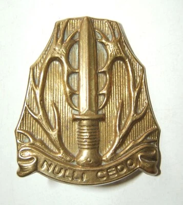 PAYS BAS / HOLLANDE - INSIGNE MILITAIRE NULLI CEDO - Photo 1/3