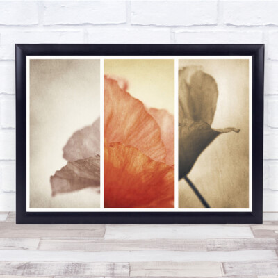 Fading Memories Blume Mohn kreative Bearbeitung Wandkunstdruck