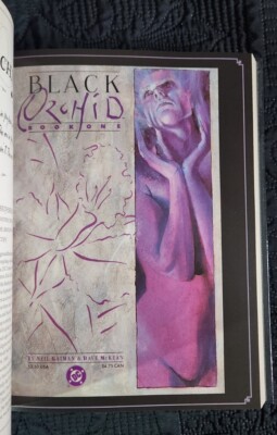 The Art of Neil Gaiman by Campbell, Hayley Hardcover Book Sandman