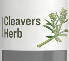 CLEAVERS HERB - Normal Urinary Tract & Lymphatic Function Support Tincture USA