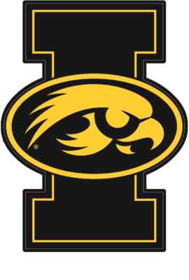 18 STYLES- Iowa Hawkeyes Wall Decal University Sticker Dorm Decor Sports Art