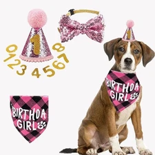 Dog Birthday Party Supplies Dog Birthday Set Boy Girl Bandana Triangle Scarf ...