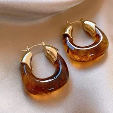 Transparent Resin Geometric Irregular Brown Acrylic Hoop Earrings