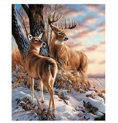 Paint By Numbers Adults kids Deer Couple Animals DIY Painting Kit 40x50CM Canvas
