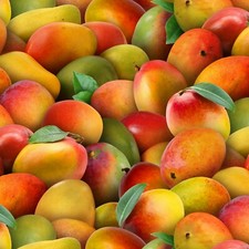 Food Festival Packed Mangos 100% Cotton Fabric by The Yard