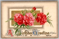 Antique Postcard Embossed Carnation Birthday Greeting 1910s