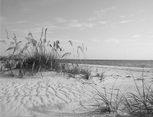Sand Dunes British Seaside Black White Grey Modern Canvas Picture Wall Art Print Ebay