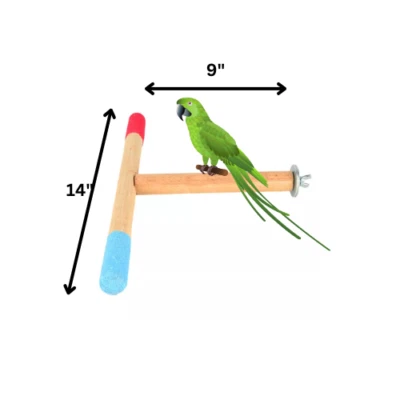 PET SHOP AMERICA T Perch Bird Stand Parrot Cage Training Grinding Chewing Parakeet Wood Sanded