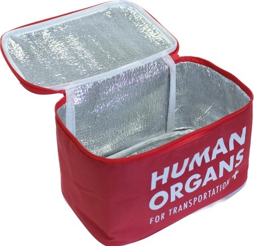 Red Human Organs Insulated Beer Soda Food Cooler - Costume Prop Tote Bag - Picture 2 of 5