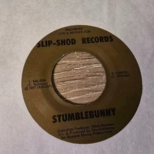 Stumblebunny – The Possibilities Are Endless Power Pop Post Punk 45
