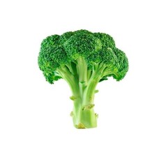 1200 Broccoli Fresh Seeds - Green Sprouting Calabrese Non-GMO Heirloom Vegetable