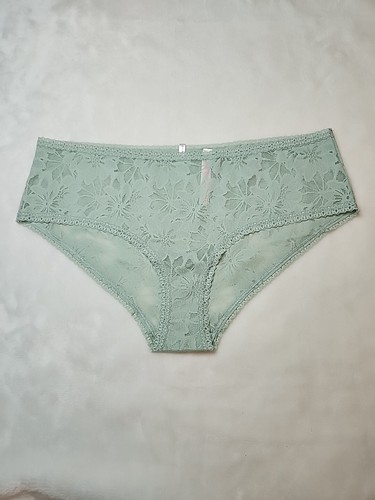 NWT Victoria's Secret Lace Hipster/bas Hipster Hiphugger Bikini Panty XL - 第 1/9 張圖片