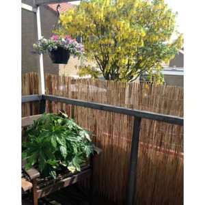 MGP Fence Panel Natural Bamboo Reed Nylon Coated Wires 60 in. H in. W