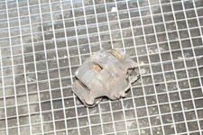 KIA SPORTAGE SL Bremssattel vorne rechts 2.0 Diesel 100kw 2013