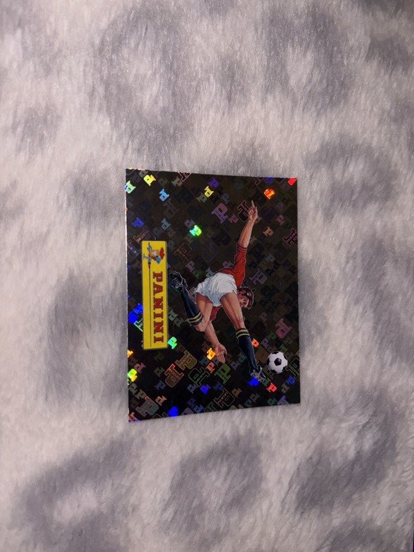 Panini FIFA World Cup 2026 Sticker Parallel Foil Soccer Trading Card #00 - RARE