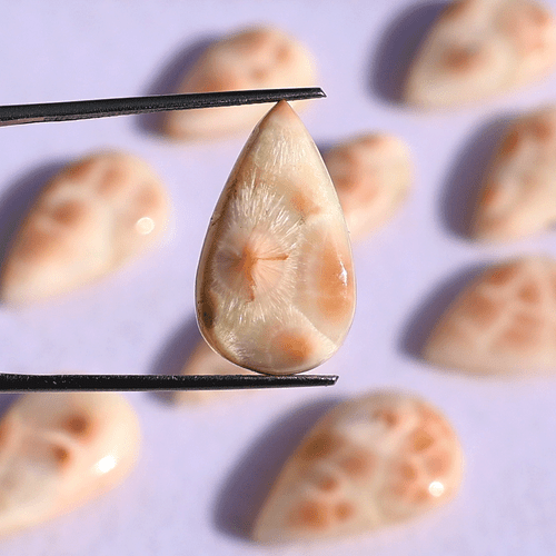 Lot 10 Pcs Natural Thompsonite AAA Quality 18.5mm-22.6mm Pear Cabochon Gemstones - Picture 6 of 13