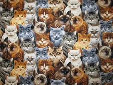 VARIETY SMALL KITTIES CATS REALISTIC KITTY CAT COTTON FABRIC FQ