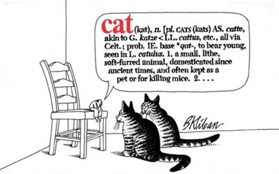 CAT by KLIBAN B Paperback Self Help Business