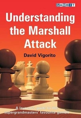 Understanding the Marshall Attack by David Vigorito (English) Paperback Book