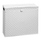 Toilet Roll Holder Bathroom Storage Box With Insert Handle Polypropylene  9112W