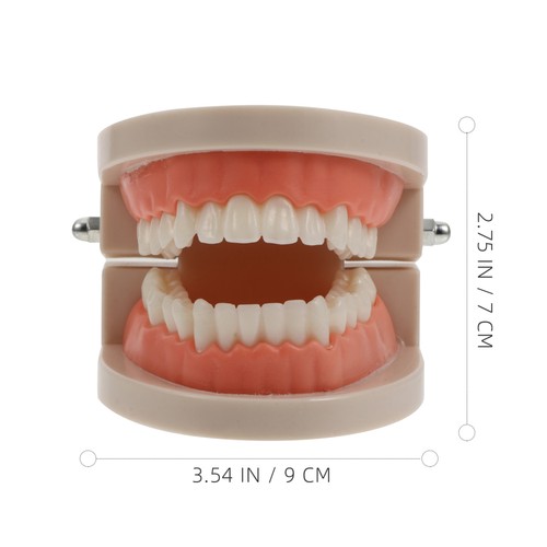 2 Sets Early Childhood Education Brushing and Washing Tools Oral Tooth Model - Bild 3 von 12