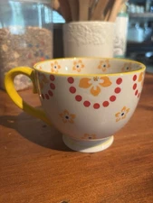 DeeCoo Mug with vibrant color scheme great for coffee/hot choc