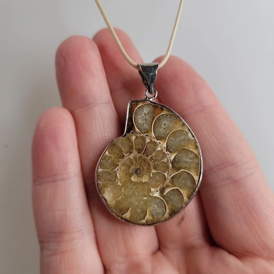 Colgante fósil concha de amonita en cordón tostado tono plata hallazgos playa Foto 3 de 4