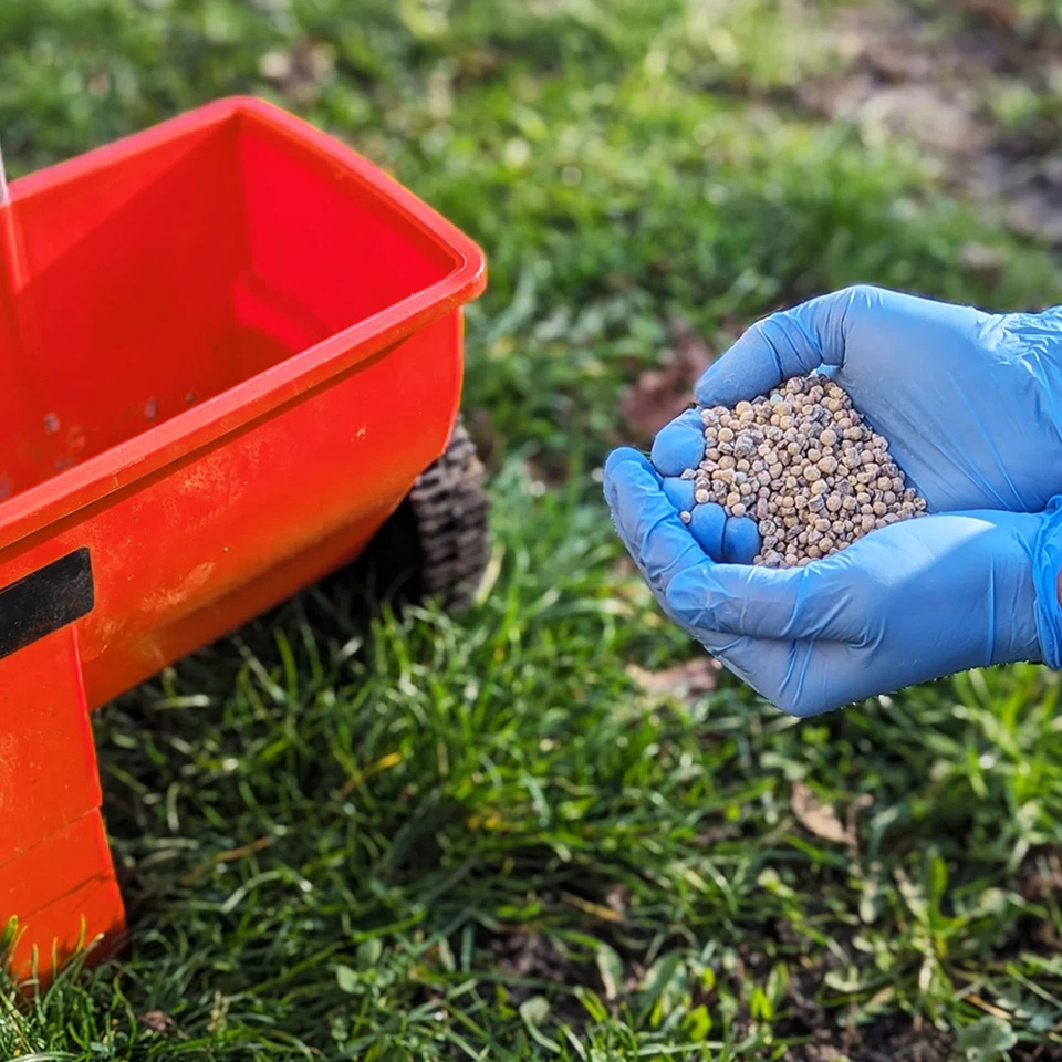 10kg Rasendünger NPK Frühjahrsdünger 500m² sofort grüner Rasen ohne Moos&Unkraut - Bild 3 von 4