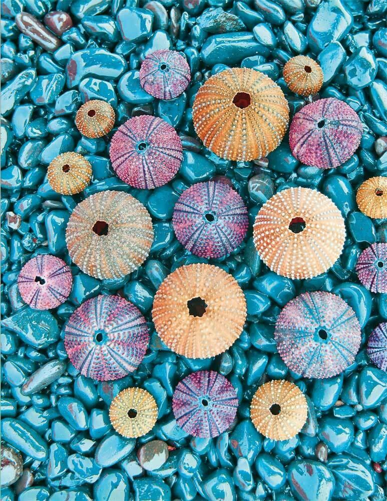 Thumbnail - Sea Treasures - Tushita-verlag - 9783960132400