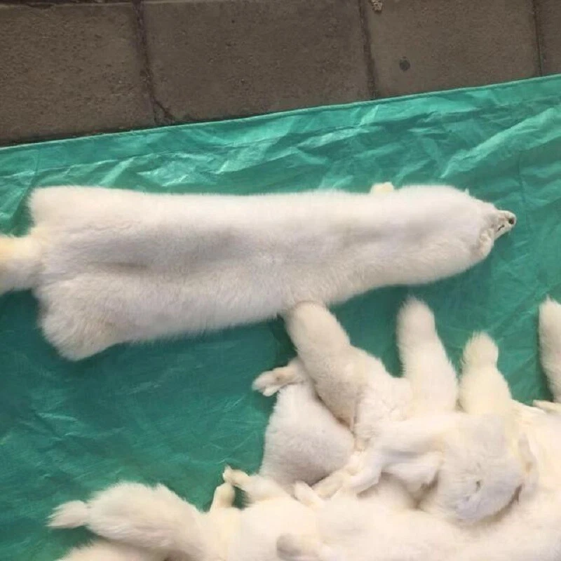 1x Piel de zorro curtida Piel de cuero real suave denso 39-47 pulgadas Foto 4 de 4