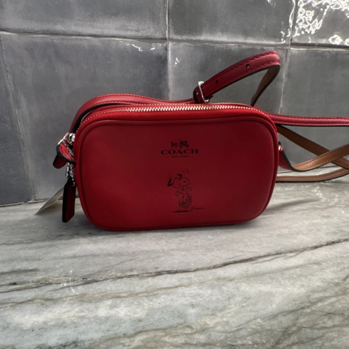 Coach Snoopy Zip Leather Exterior Bags & Handbags for Women for