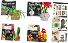  Cozy Craftworks Chenille Stem Plant Craft Kit for Adults – Create 4 Plants