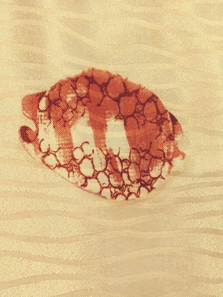 Cortina de Ducha Golden Sands, con Conchas Marinas y Coral 70 Pulgadas Bacova Foto 4 de 4