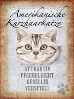 Holzschild 40X30 Cm Americanische Katze Kurzhaar Deko Geschenk Holz Schild
