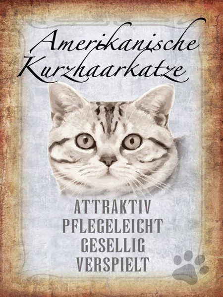 Holzschild 40X30 Cm Americanische Katze Kurzhaar Deko Geschenk Holz Schild-image