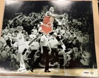 Michael Jordan Autographed The Shot CelebrationPhoto 16x20 Signed Upper Deck UDA