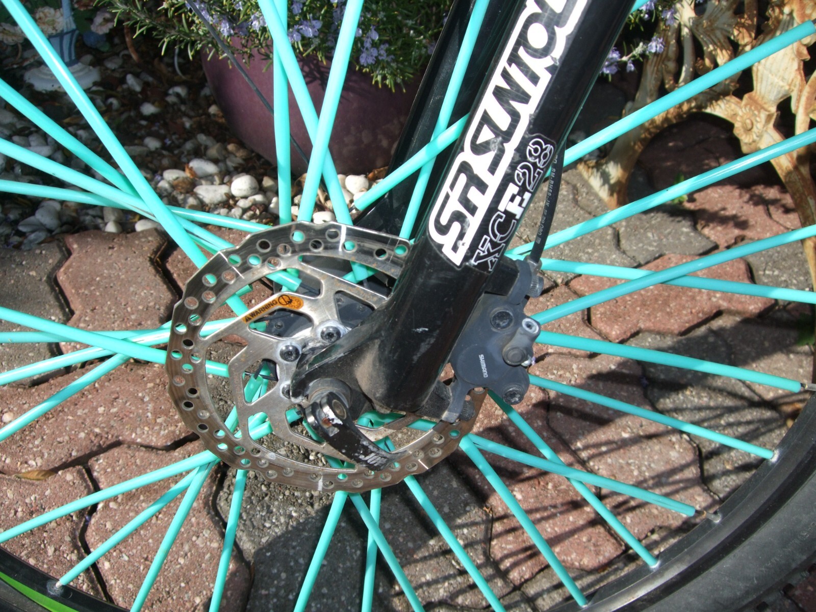 Picture 3 of 7