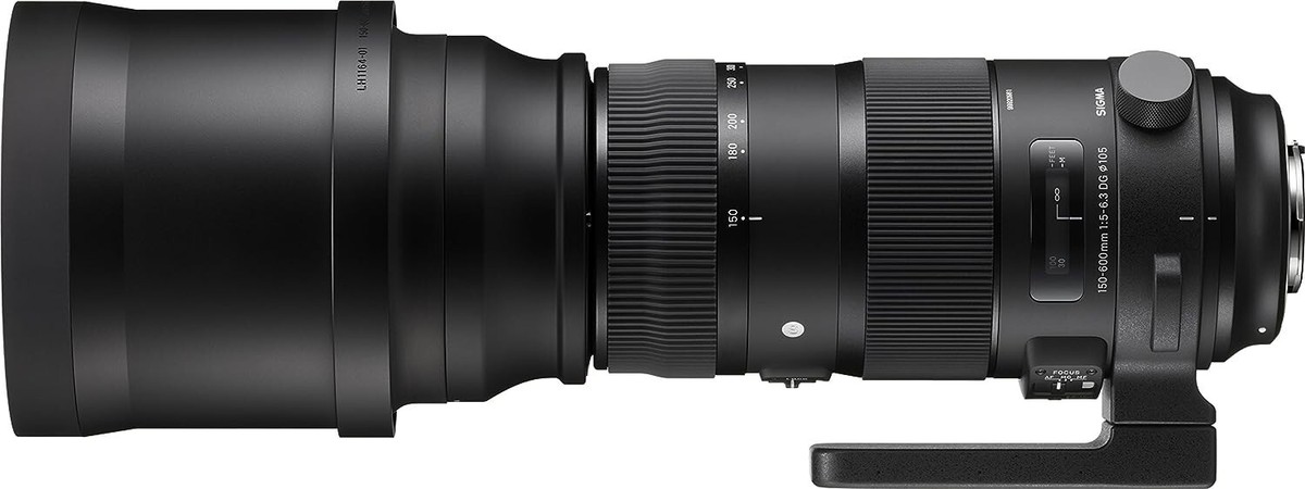 レンズ(ズーム) sigma150-600f5-6.3DG DN OS SportsE-mount SIGMA 150-600mm F5-6.3 DG DN OS Sports Zoom Lens for Sony E-mount