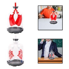 Lung Function Demonstration Model Lung Respiration Model Science Learning